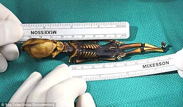 A new documentary film Sirius has revealed that the mummified remains of a six-inch supposed ¿space alien¿ are in fact human