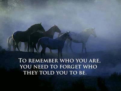 To remember who you are you need to forget who they told you to be