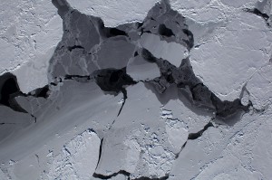 sea ice