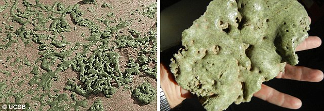 Match: Melt glass, known as trinitite, formed during the Trinity nuclear airburst in New Mexico in 1945 when rocks melted. The scientists say the melt-glass is similar to that found in the 12,800-year-old rock