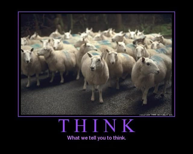 like-sheeple-like-sheep